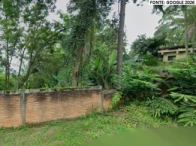 Imagem 6