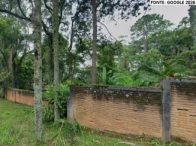 Imagem 8