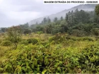 Miniatura 3 de Fazenda com 188,3 hectares - Guaraqueçaba/PR