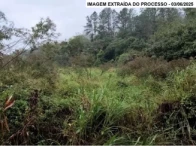 Miniatura 4 de Fazenda com 188,3 hectares - Guaraqueçaba/PR