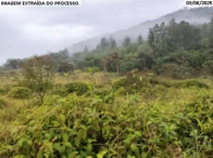 Miniatura 4 de Fazenda com 188,3 hectares - Guaraqueçaba/PR