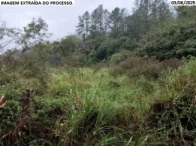 Miniatura 5 de Fazenda com 188,3 hectares - Guaraqueçaba/PR