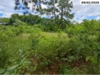 Miniatura 2 de Terreno - 2.263,43m² - R. Voluntários da Pátria