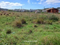 Miniatura 4 de Terreno - 360,00m² - R. Luiz Carlos Pereira - Vila São João
