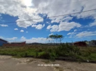 Miniatura 5 de Terreno - 360,00m² - R. Luiz Carlos Pereira - Vila São João