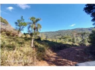 Miniatura 4 de Fazenda c/ 484,72 hectares - Pinhão/PR