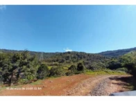 Miniatura 3 de Fazenda c/ 484,72 hectares - Pinhão/PR