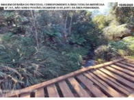 Miniatura 4 de Fazenda c/ 484,72 hectares - Pinhão/PR
