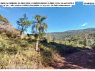 Miniatura 6 de Fazenda c/ 484,72 hectares - Pinhão/PR