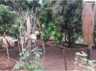Miniatura 6 de Chácara com 4,84 hectares - Itumbiara/GO