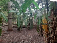 Miniatura 7 de Chácara com 4,84 hectares - Itumbiara/GO