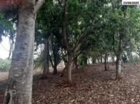 Miniatura 8 de Chácara com 4,84 hectares - Itumbiara/GO