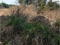 Imagem do imóvel Grande Terreno c/ 14.340,14m² - Ananás/TO