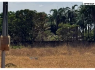 Imagem do imóvel Chácara 12 - 5.000m² - Anápolis/GO