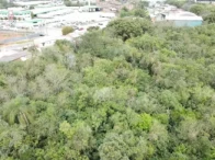 Miniatura 3 de Terreno 20.000m² - R.  Oscar Reinaldo Schirmer - B. Scharlau