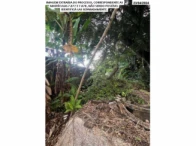 Miniatura 3 de Chácara- 12.703,85m² - Travessa Pelicano - Praia de Antenor
