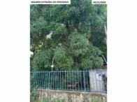Imagem 6