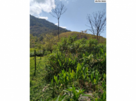 Chácara - 2,37 hectares - Edificações - Pindamonhangaba/SP, localizado em Pindamonhangaba - SP
