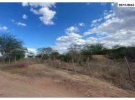 Sítio c/ 88 hectares - Tucano/BA
