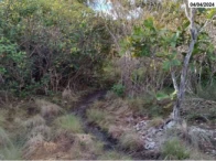 Imagem 7