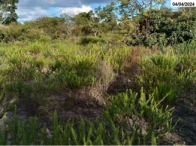 Imagem 9