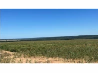 Miniatura 1 de Fazenda c/ 1.081,40 ha - Buriticupu/MA
