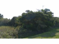 Imagem do imóvel Terreno c/ 250m² - Ilha Comprida/SP