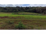 Miniatura 4 de Imóvel com 2,9 hectares - Santa Izabel do Oeste/P
