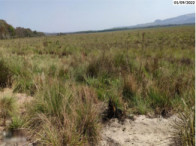 Fazenda c/ 726,2891 hectares - Serranópolis/GO, localizado em Serranópolis - GO