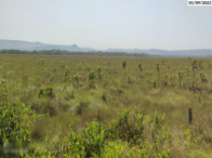 Fazenda c/ 726,2891 hectares - Serranópolis/GO, localizado em Serranópolis - GO