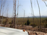 Fazenda c/ 726,2891 hectares - Serranópolis/GO, localizado em Serranópolis - GO
