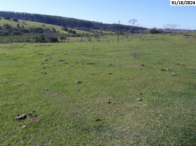 Terreno no Área Rural (foto 6 de 28)