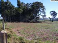Terreno no Área Rural (foto 18 de 28)