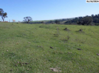 Terreno no Área Rural (foto 21 de 28)