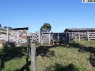 Terreno no Área Rural (foto 27 de 28)