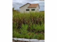 Lote c/ terrenos - Belo Jardim/PE, localizado em Belo Jardim - PE
