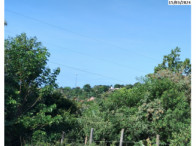 I_5187_871580_C.jpg