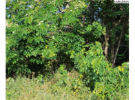 I_5187_871599_H.jpg
