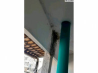 Salas comerciais - 575,70m² - Salvador/BA, localizado em Salvador - BA