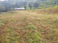 Grande Terreno c/ 15.645,00m² - Nova Venécia/ES, localizado em Nova Venécia - ES, bairro Filomena