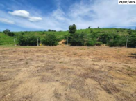 Grande Terreno c/ 15.645,00m² - Nova Venécia/ES, localizado em Nova Venécia - ES, bairro Filomena