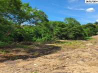Grande Terreno c/ 15.645,00m² - Nova Venécia/ES, localizado em Nova Venécia - ES, bairro Filomena
