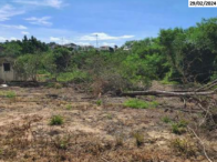 Grande Terreno c/ 15.645,00m² - Nova Venécia/ES, localizado em Nova Venécia - ES, bairro Filomena