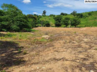 Grande Terreno c/ 15.645,00m² - Nova Venécia/ES, localizado em Nova Venécia - ES, bairro Filomena