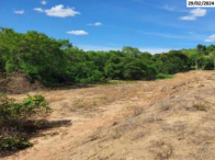 Grande Terreno c/ 15.645,00m² - Nova Venécia/ES, localizado em Nova Venécia - ES, bairro Filomena
