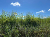 I_7660_920746_C.jpg