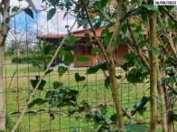 Terreno - 24.200m² - Edificações - Linhares/ES, localizado em Linhares - ES