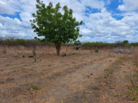 Imagem do imóvel Parte ideal - Terreno c/ 3.600,00m² - Amontada/CE