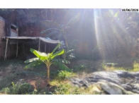 Imagem 7