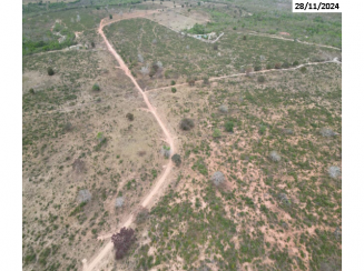 Fazenda - 290,40ha - Torixoréu/MT